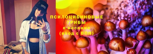 apvp Богородск