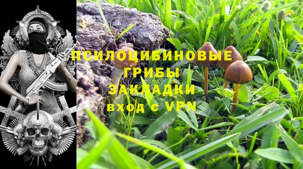 кокаин колумбия Богданович